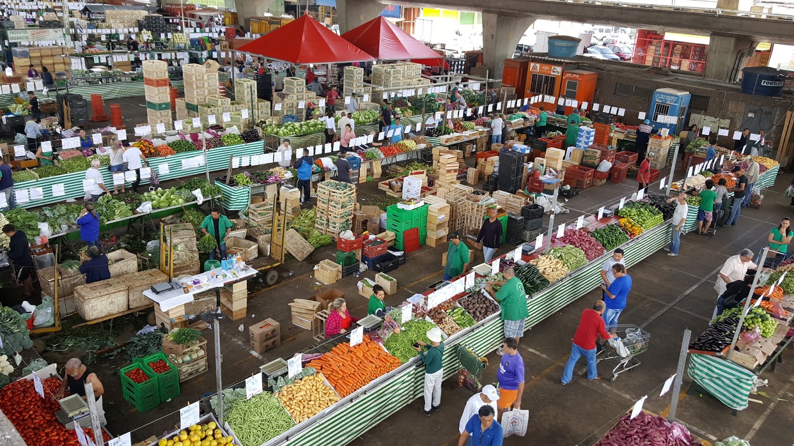 feira-do-ceagesp-produtos-mais-baratos-da-semana